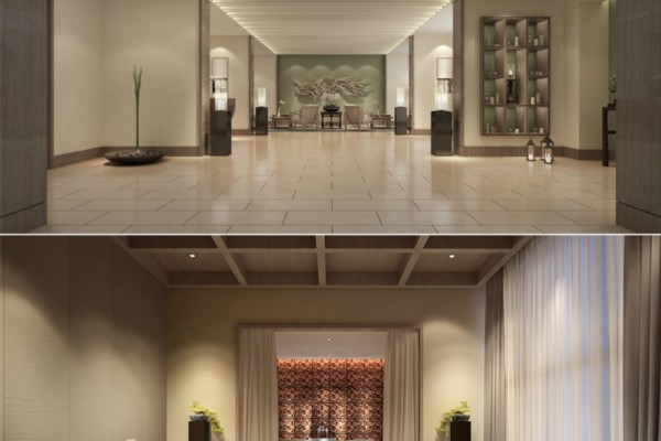 成都新茶养生休闲指南(成都 新茶)