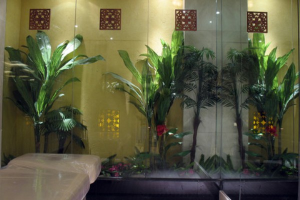 成都养生休闲新风尚：一杯茶，一段闲适时光(成都环境优雅喝茶休闲)