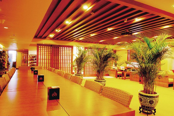 成都地铁喝茶达人秀：热门视频大全呈现